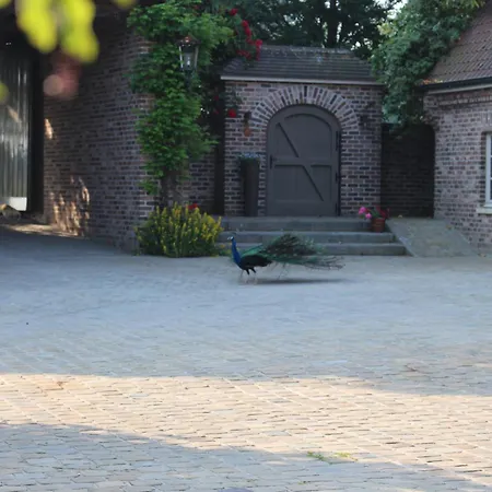 Imagine Homestay szállás